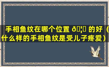 手相鱼纹在哪个位置 🦊 的好（什么样的手相鱼纹是受儿子疼爱）